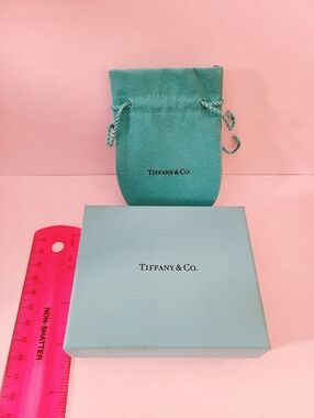 Tiffany & Co. Blue Gift Box